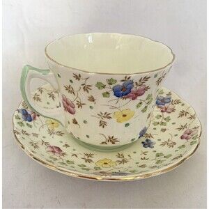 EB Foley Tea Cup & Saucer Set Bone China England Multi Color Floral Chintz